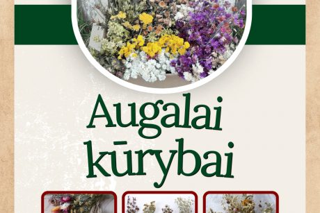 Džiovinti augalai, jų produktai dovanoms ir jų dekoravimui