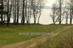 „RŪTA“ - poilsio bazė prie Bebrusų ežero Molėtų rajone