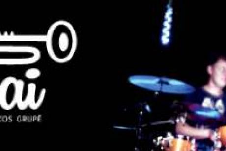 Gyvos muzikos grupė  DixXband"