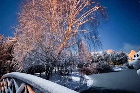 "Pajūrio sodyba" Šventojoje