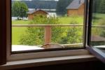 Zubrickų sodyba ant ežero kranto – Aukštadvaryje, Trakų rajone