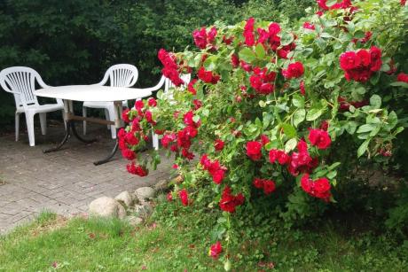 Sodyba Ventės rage – šventėms ir poilsiui!