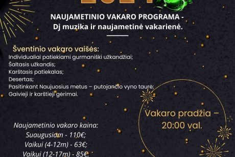 Naujieji 2024 metai su Dj muzika viešbutyje "Goda" Druskininkuose