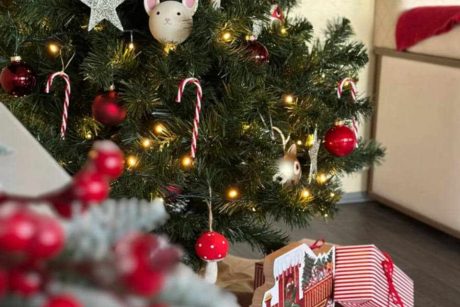 Renginių ir poilsio centras AURORA DREAM