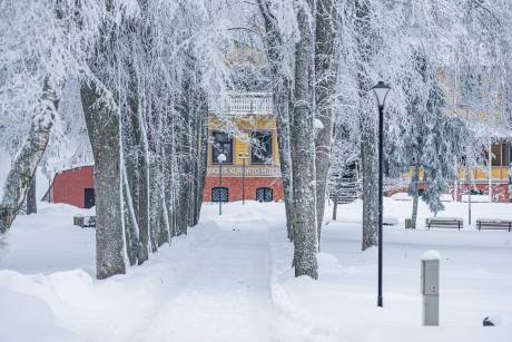 Kalėdiniai Šventiniai renginiai Palangoje