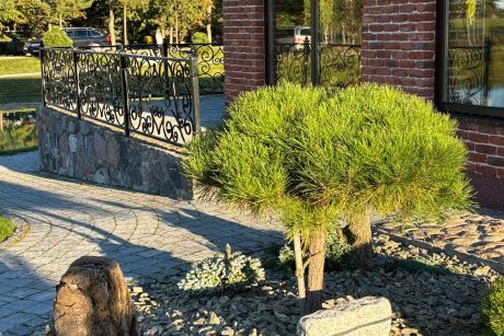 Nausodės sodyba Panevėžyje Jūsų poilsiui ir šventei iki 35 svečių!