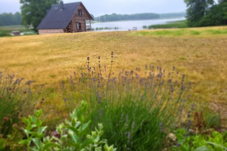 "Kardoko" sodyba prie Zapsio ežero - pirtis, valtis, ant ežero pakrantės!
