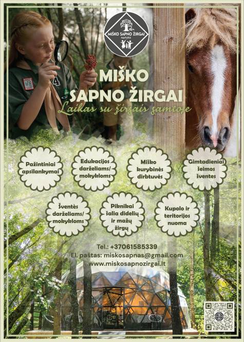 Miško sapno žirgai - laikas su žirgais miško apsuptyje