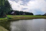 "Punia" - kaimo turizmo sodybos nuoma Alytaus rajone, šalia tvenkinio