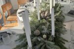 Sodyba Šiaulių rajone "Laukinukė" – šeimos šventėms ir verslo renginiams