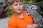 Mini Zoo – pramoga šeimoms su vaikais, vaikų gimtadieniams, renginukams!
