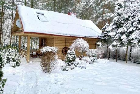 Medaus pirtelė TRAKŲ rajone prie ežero Skaistis